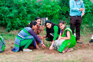 Green Gujarat tree Plantation 23 Aug 2016